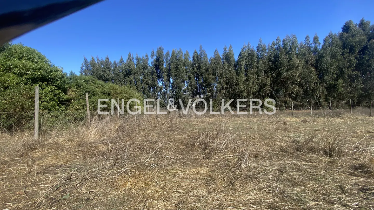 Vacant land for sale with dry grass, trees, and a blue sky. Engel & Volkers logo is superimposed on the image.
