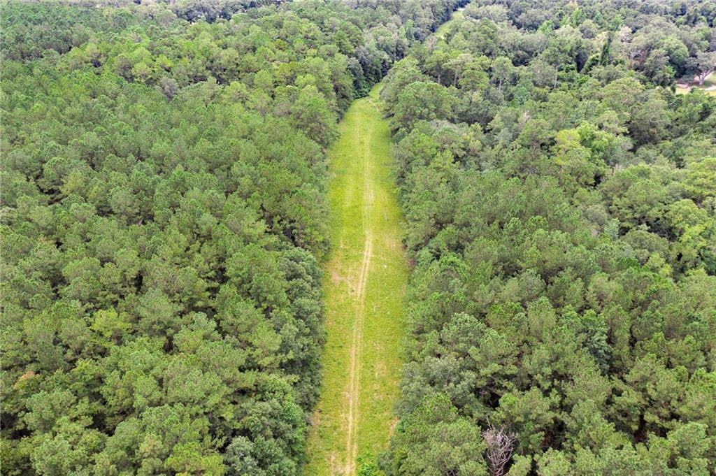 8.73 Acres of Wooded Serenity in Heart of Lacombe, Louisiana