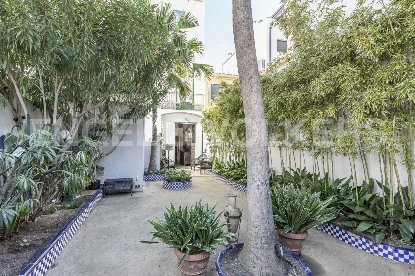 A courtyard with a sandy floor, potted plants, trees, and a white building with a green door.