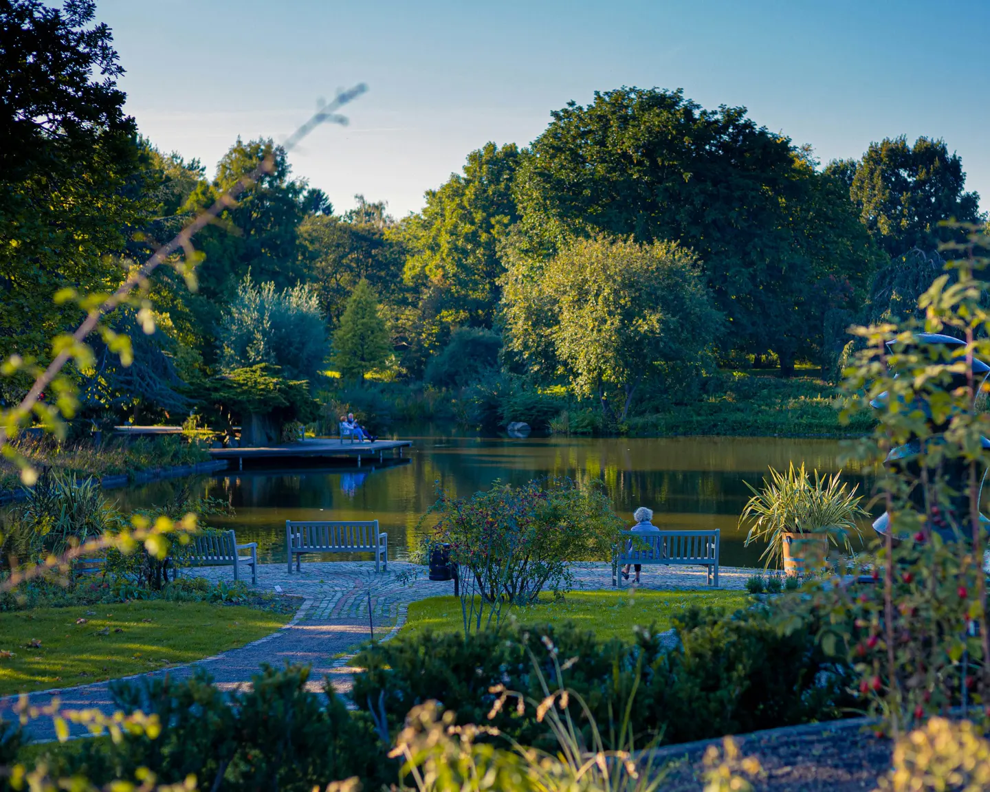 A serene park scene with a calm lake reflecting green trees. Benches line a paved path, where people relax and enjoy the peaceful atmosphere.