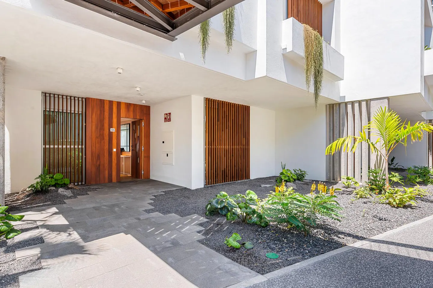 Modern building entrance with wood door, white walls, and greenery. A small palm tree and other plants add a touch of nature.