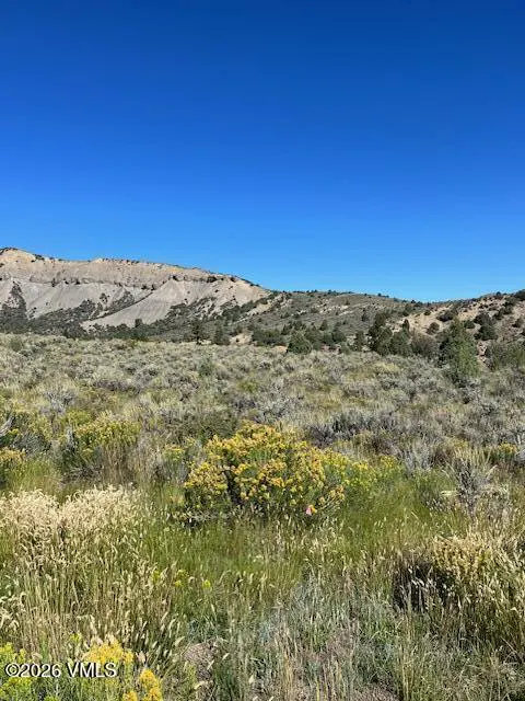 Open land with yellow wildflowers and grasses under a clear blue sky. A tan mountain range is in the background.