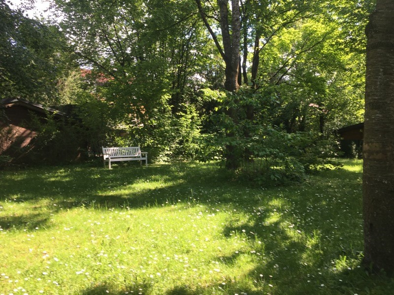 Seltenheitswert: Perfekter Grundriss trifft auf idyllischen Blick ins Grüne & 400 m² Gemeinschaftsgarten