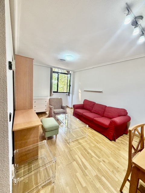 Bright furnished apartment for rent on Paseo de la Florida