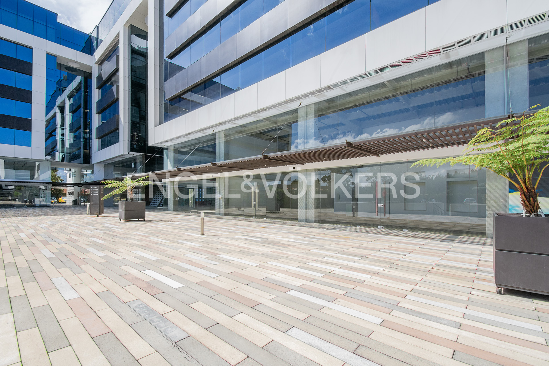 Local Comercial en Sabana Park