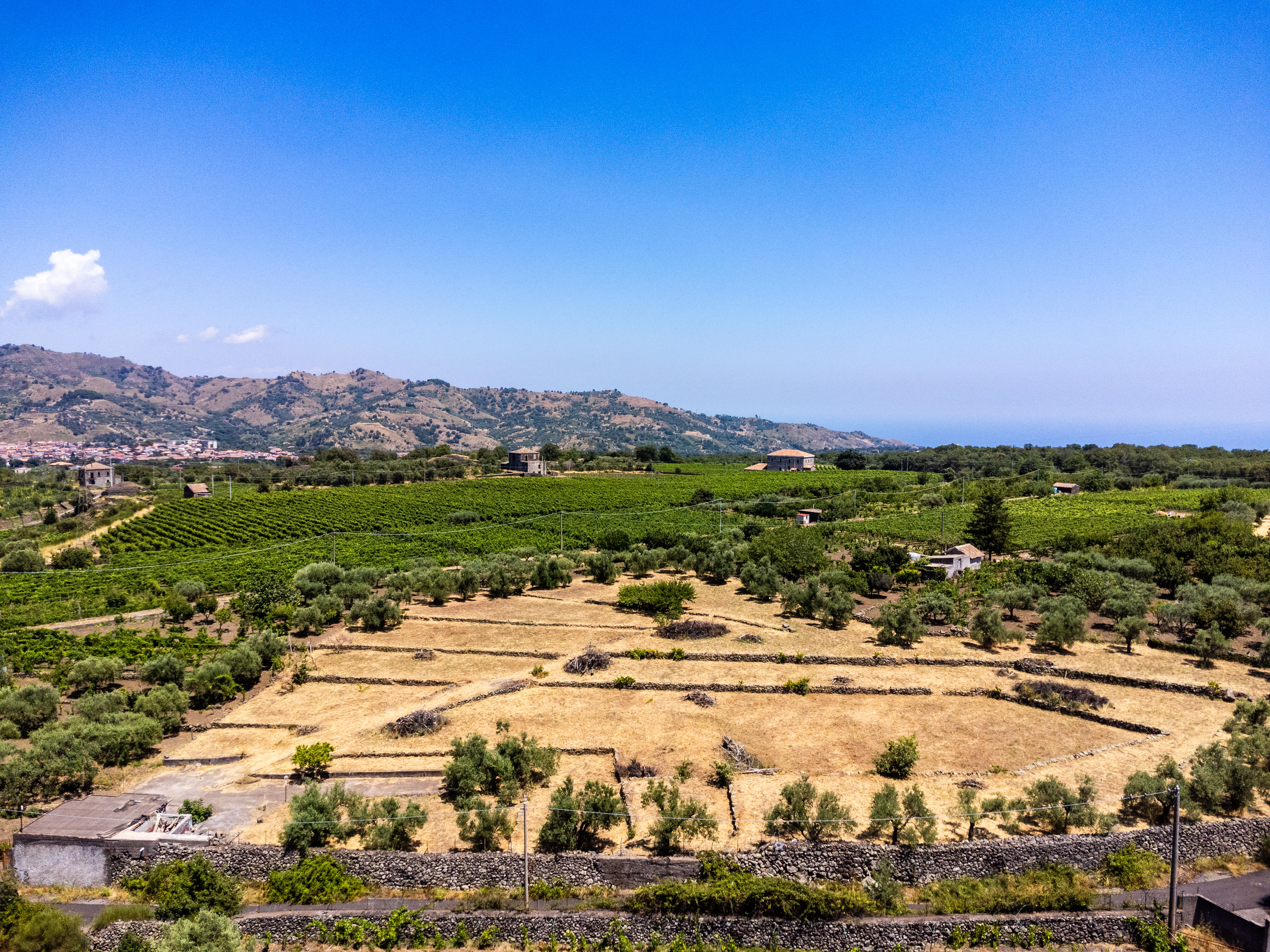Exclusive plot of land in the Etna DOC area with planting rights