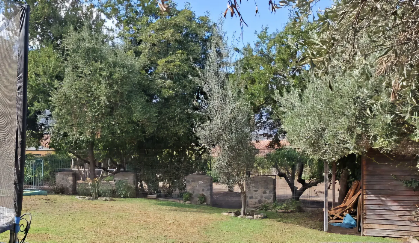 A lush green backyard with mature trees, a stone fence, and a small wooden shed under a clear blue sky.