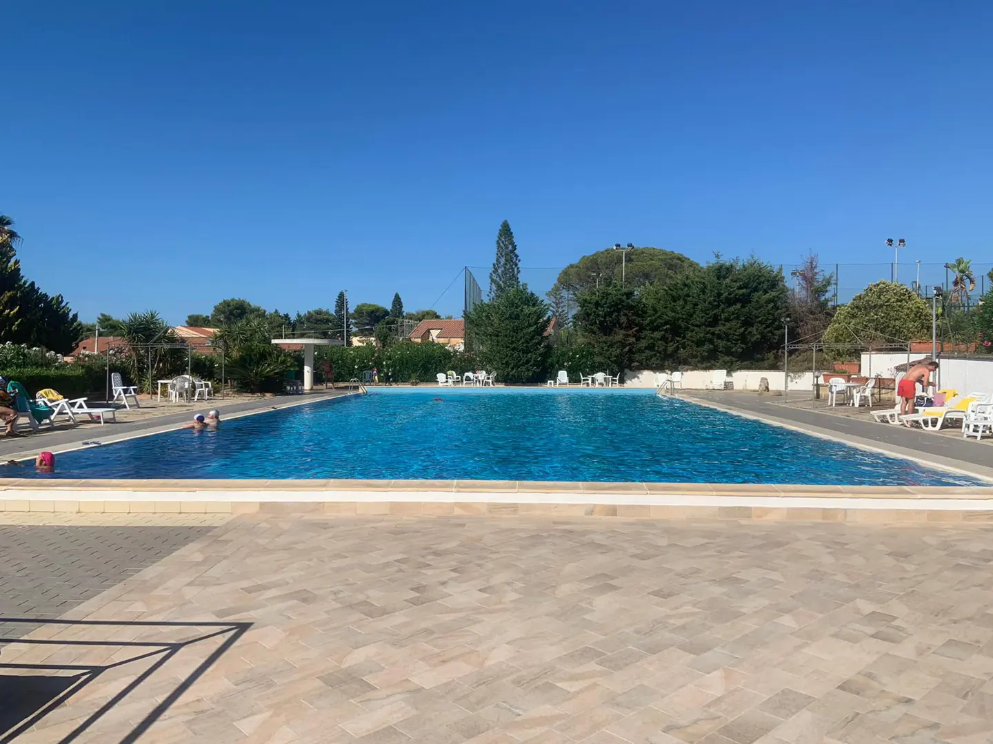 A wide, rectangular swimming pool with blue water, surrounded by lounge chairs and greenery under a clear blue sky.