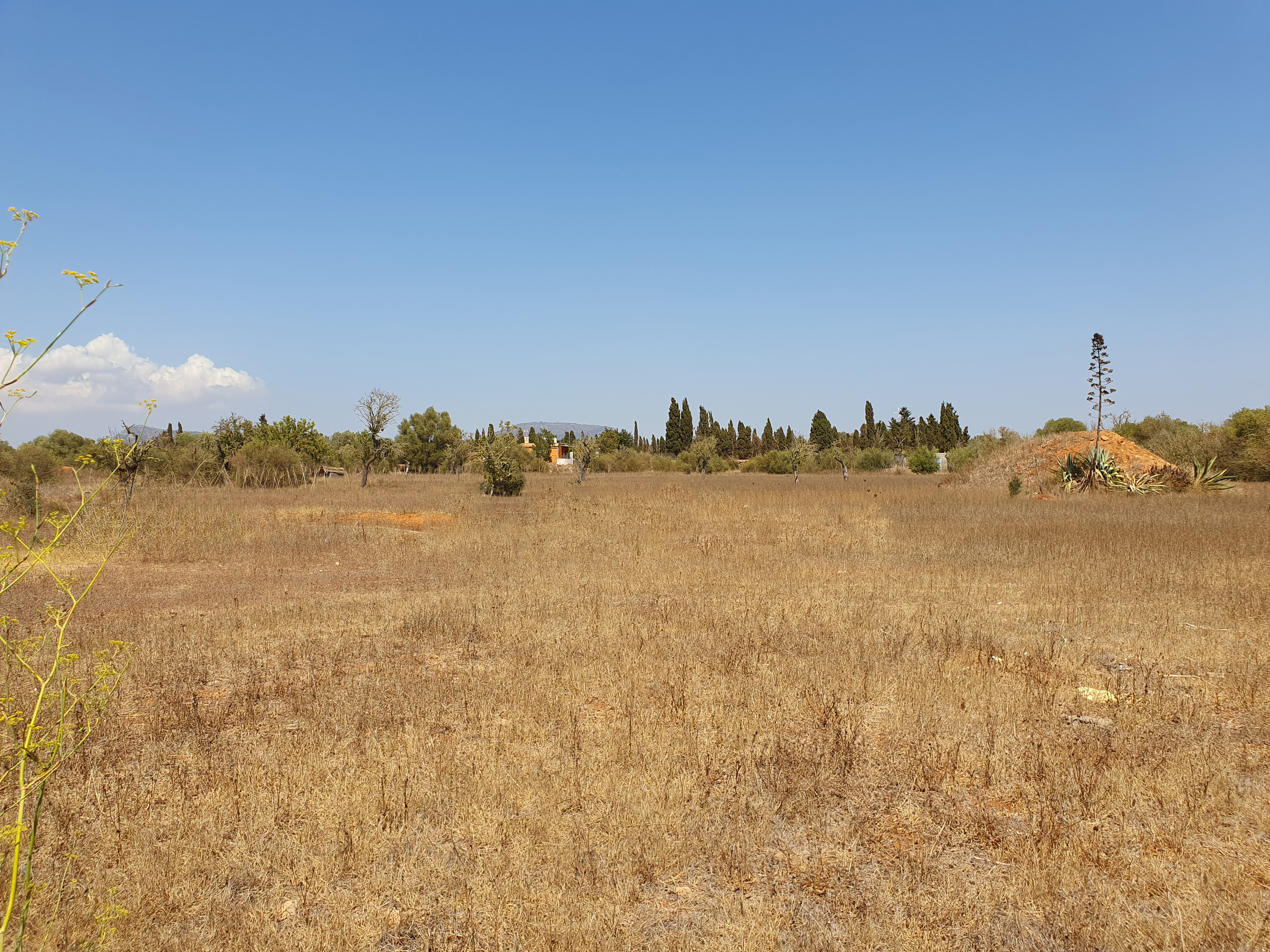 Rural building plot near Golf Son Antem