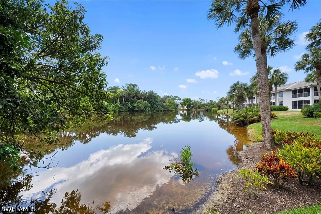 Scenic view of a calm lake reflecting the blue sky and clouds, surrounded by lush green trees and palm trees. Condos in the background.