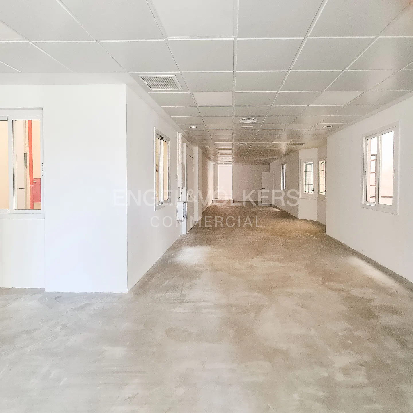 Bright, empty commercial space with white walls, windows, and a gray concrete floor. A white grid ceiling covers the room.