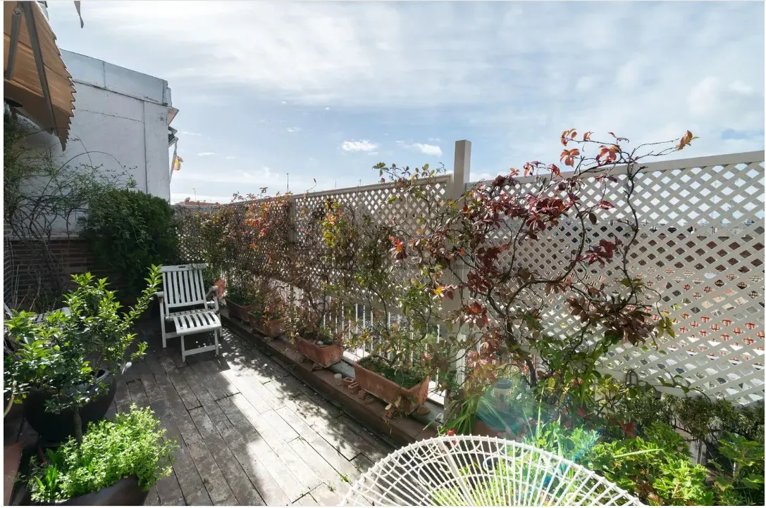 Rooftop patio with wooden deck, white lattice fence covered in vines, potted plants, and a white chair. Sky is visible above.