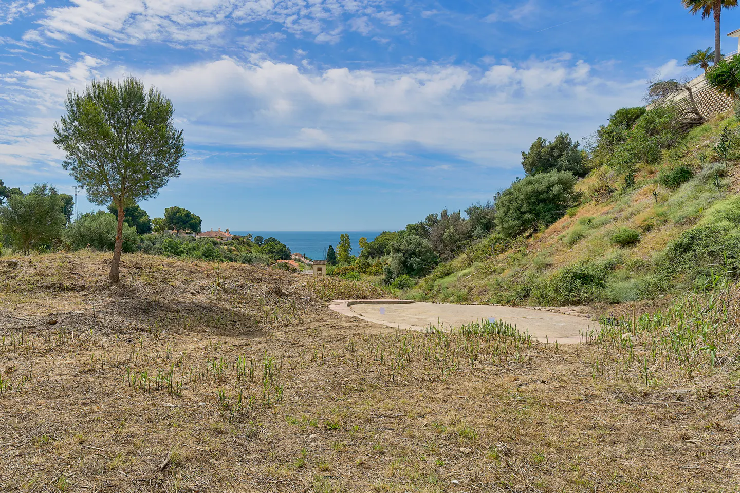 View of a vacant lot with a concrete pad, green trees, and the ocean in the background under a blue sky.