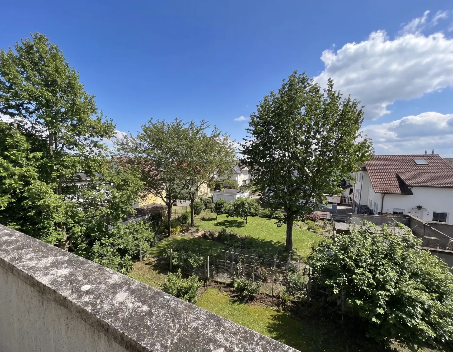 View of a green backyard with trees, grass, and a fence, under a blue sky with white clouds. A building with a red tile roof is visible in the background.