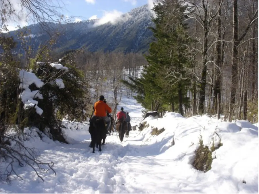 Three people on horseback ride down a snowy path through a forest with mountains in the background.
