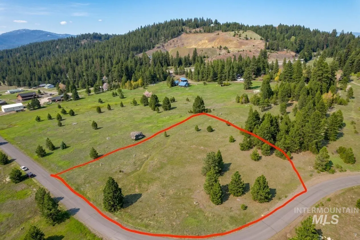 Aerial view of a grassy lot outlined in red, surrounded by trees and mountains under a blue sky.