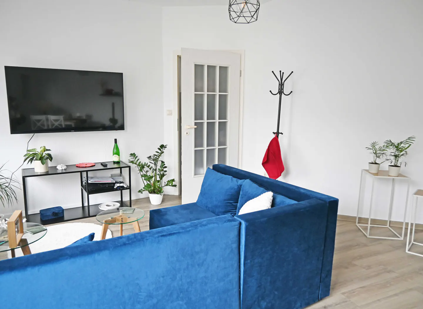 Bright living room with a blue velvet sofa, a TV on a black stand, and plants. A coat rack with a red towel stands near a white door.
