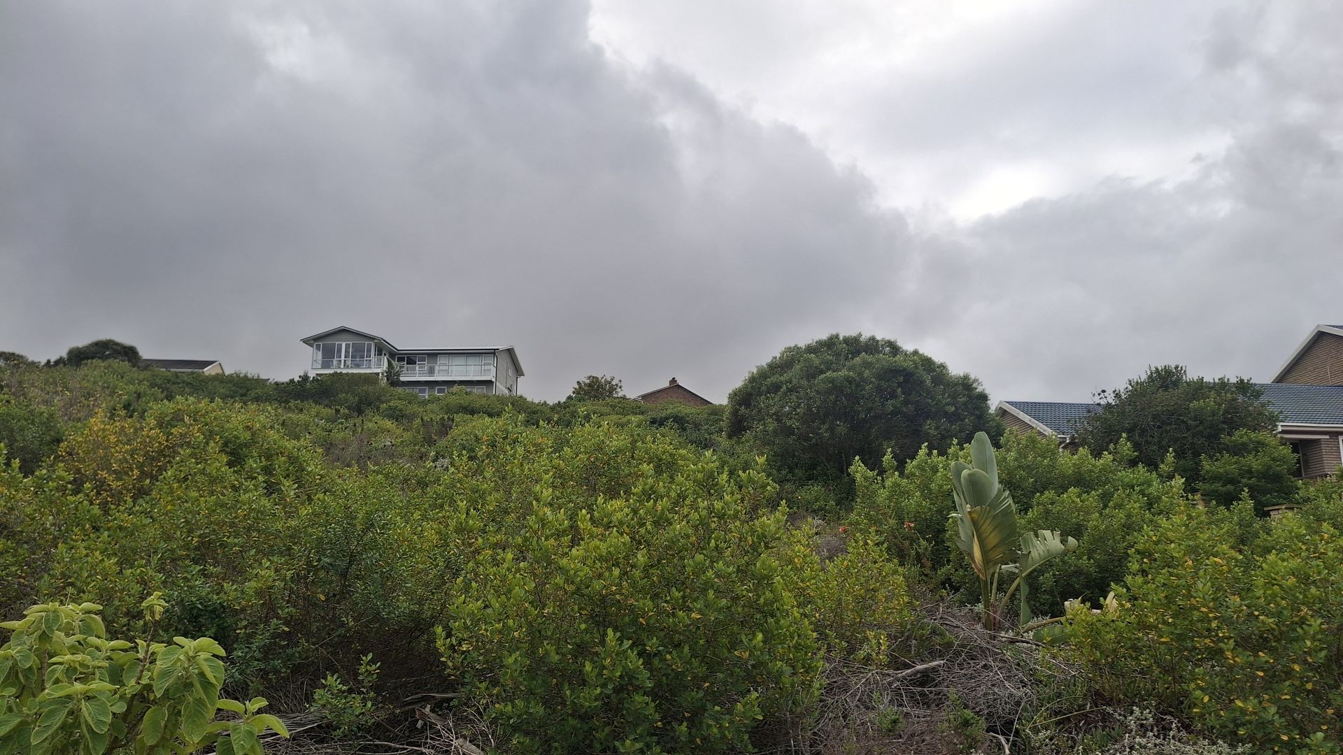 28 A Ferox  ERF   Dana bay