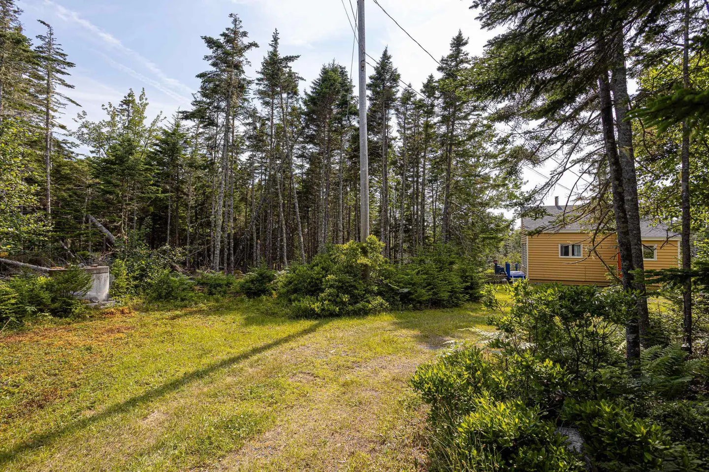 Lawn and trees lead to a yellow house. A utility pole stands among the tall trees.