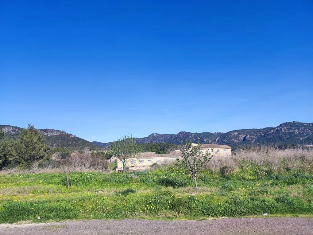 Building plot in Calvia with great views