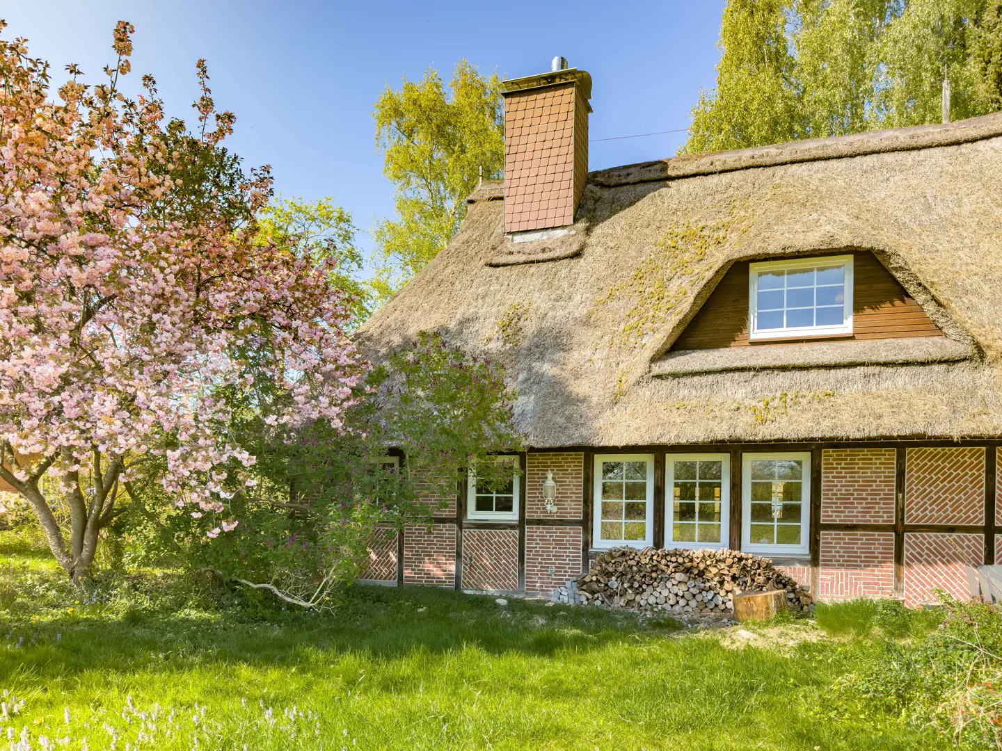 Charming cottage with a thatched roof, brick chimney, and blooming pink tree in the yard. Woodpile visible near the house.
