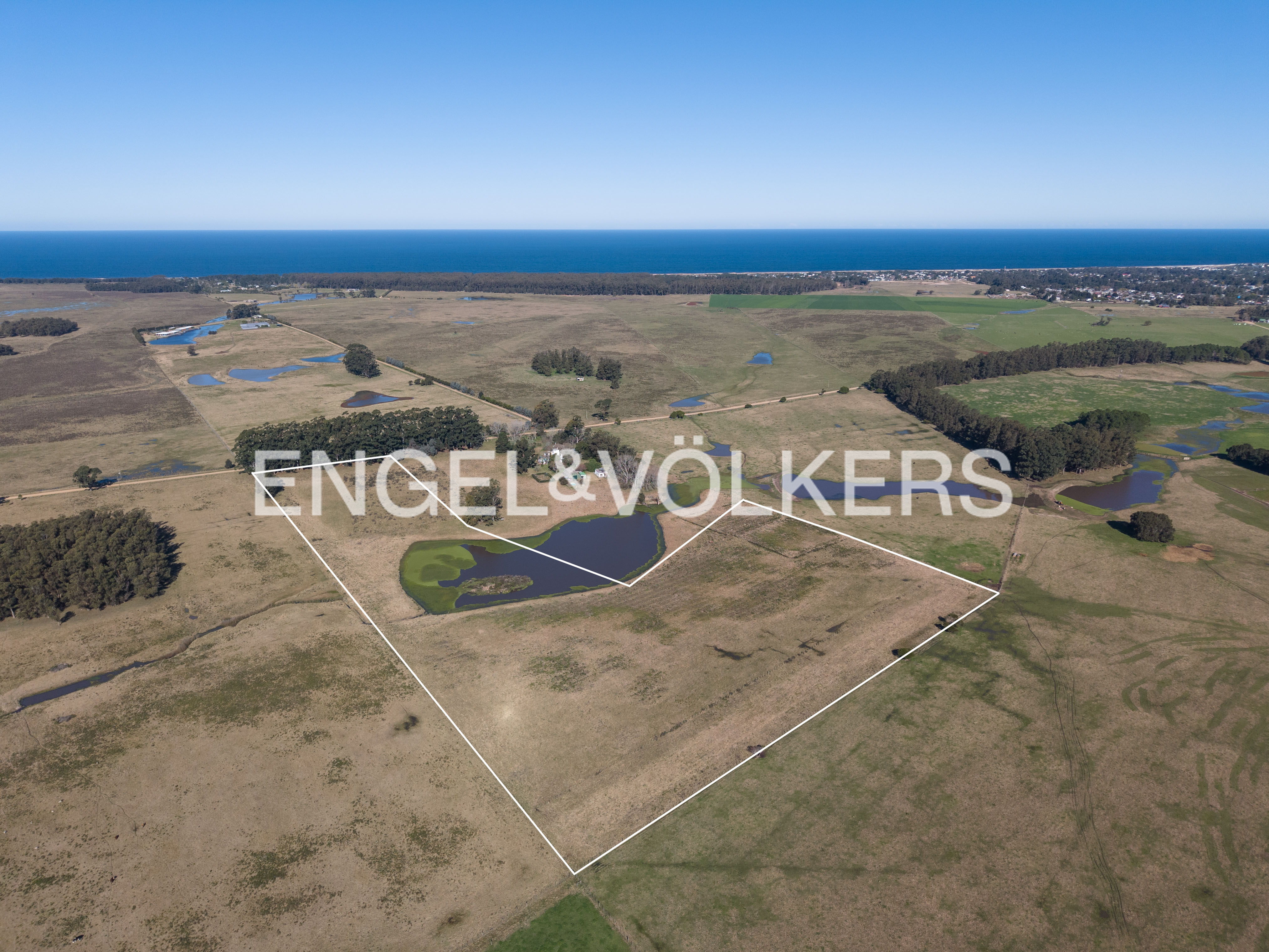 8 ha farm behind San Vicente