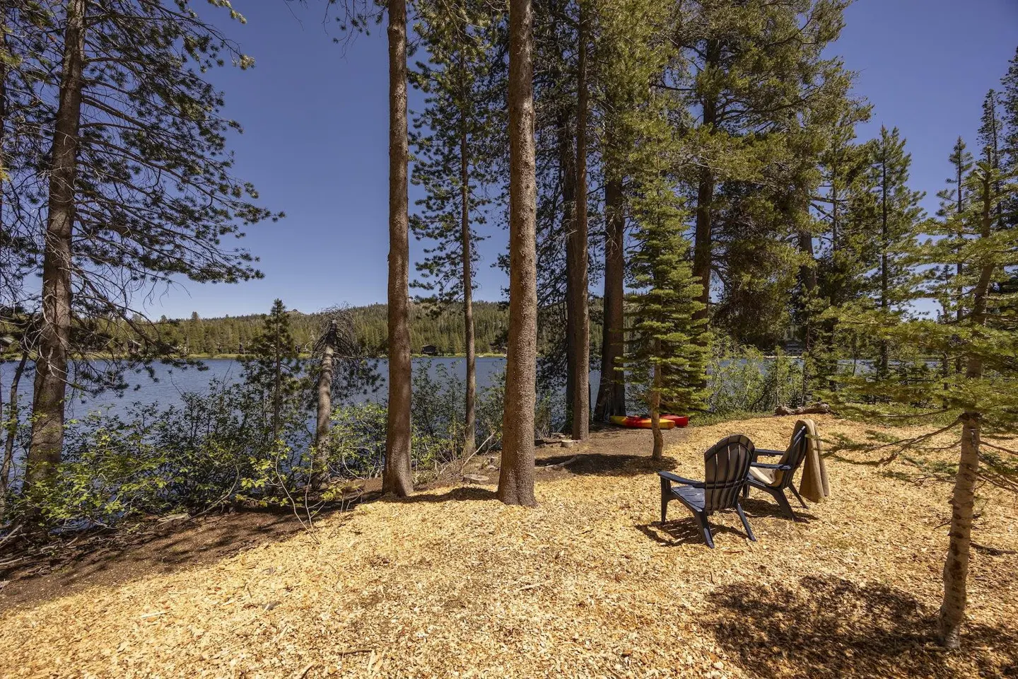 Two Adirondack chairs sit on a wood-chipped clearing overlooking a calm lake surrounded by tall pine trees under a blue sky.