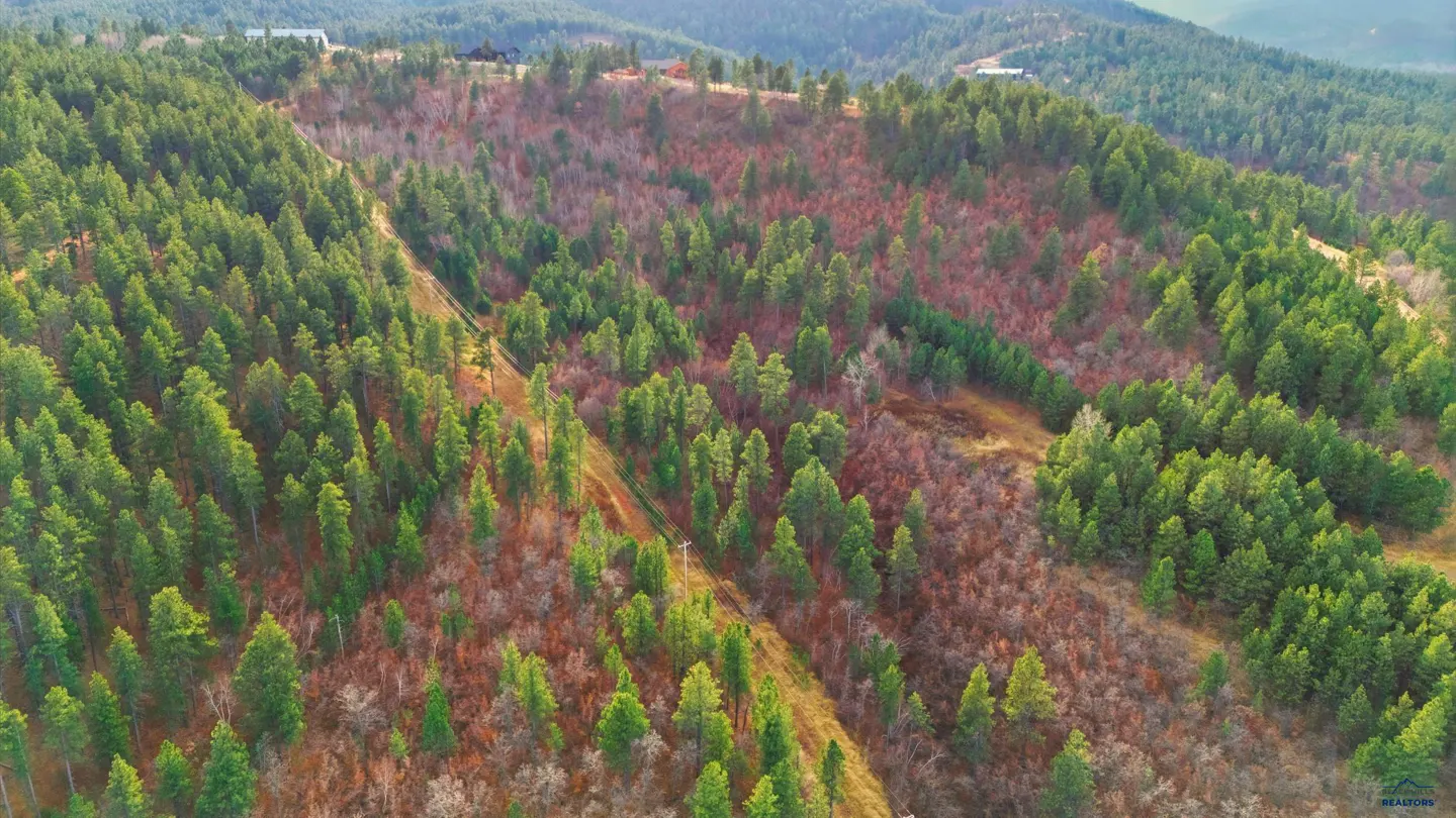 Aerial view of a hillside with green pine trees and brown brush, with a few houses visible in the distance.