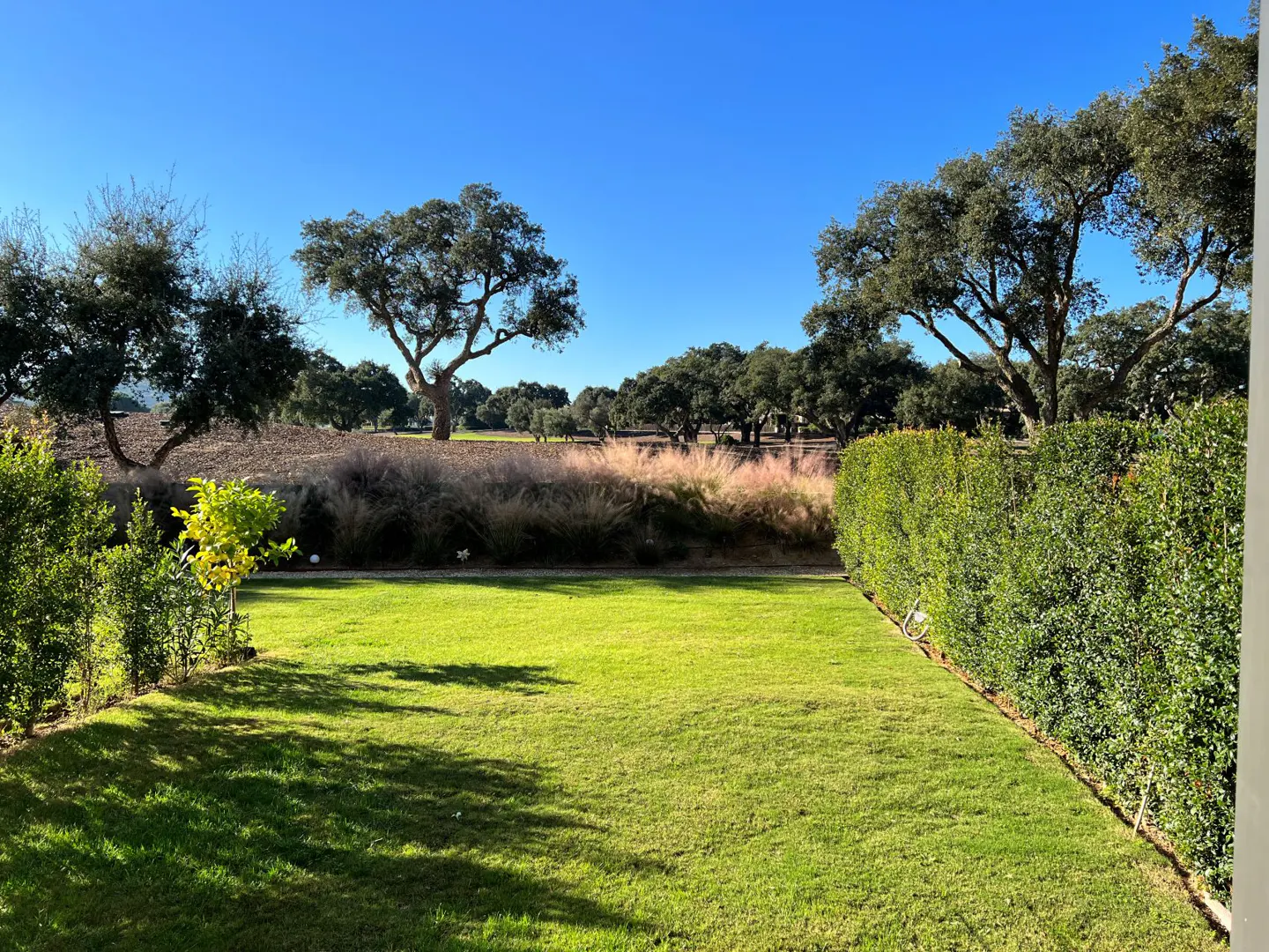 View of a green lawn bordered by hedges, with trees and a blue sky in the background.