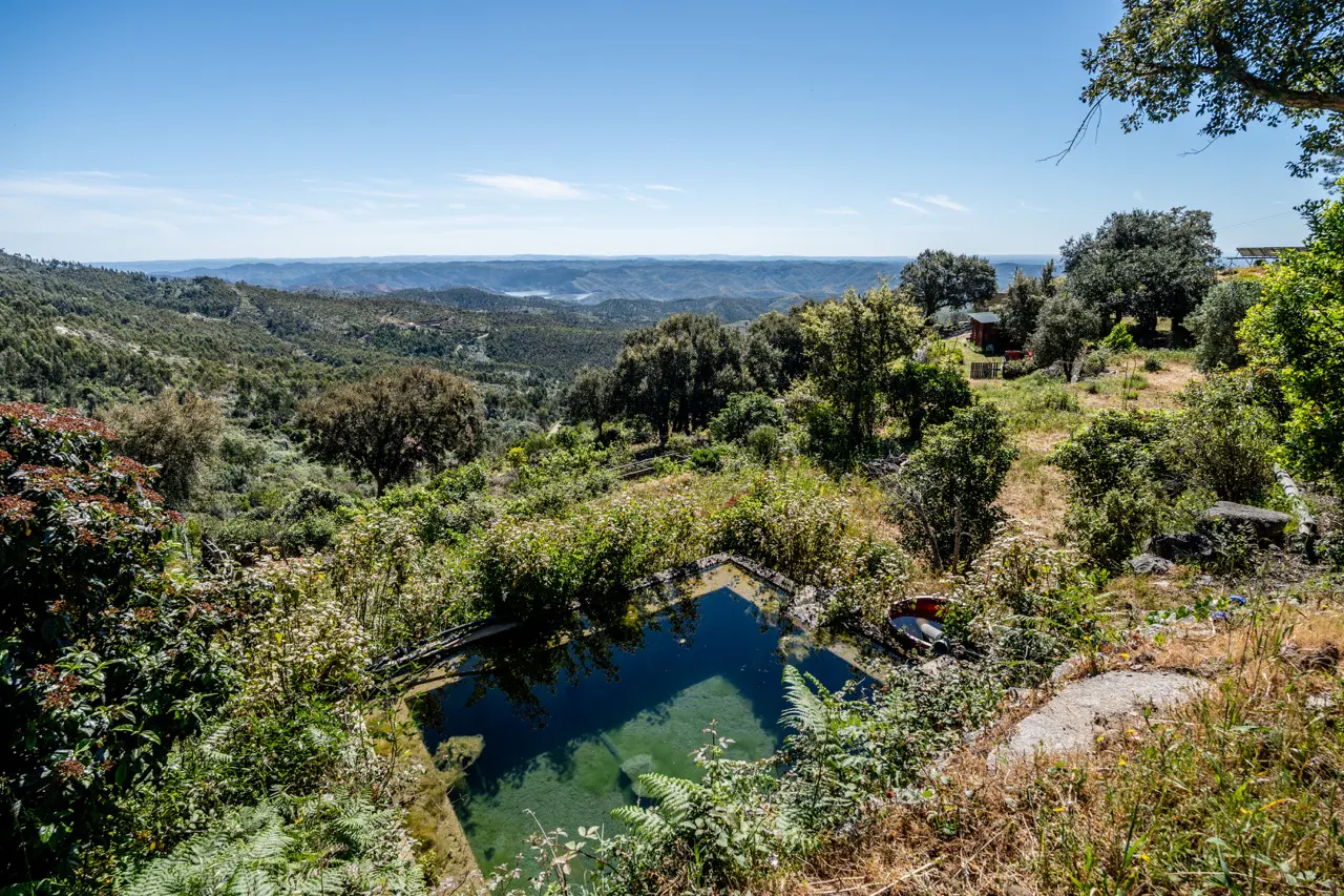 Scenic view of a clear, rectangular pool surrounded by lush green vegetation, overlooking rolling hills and a blue sky.