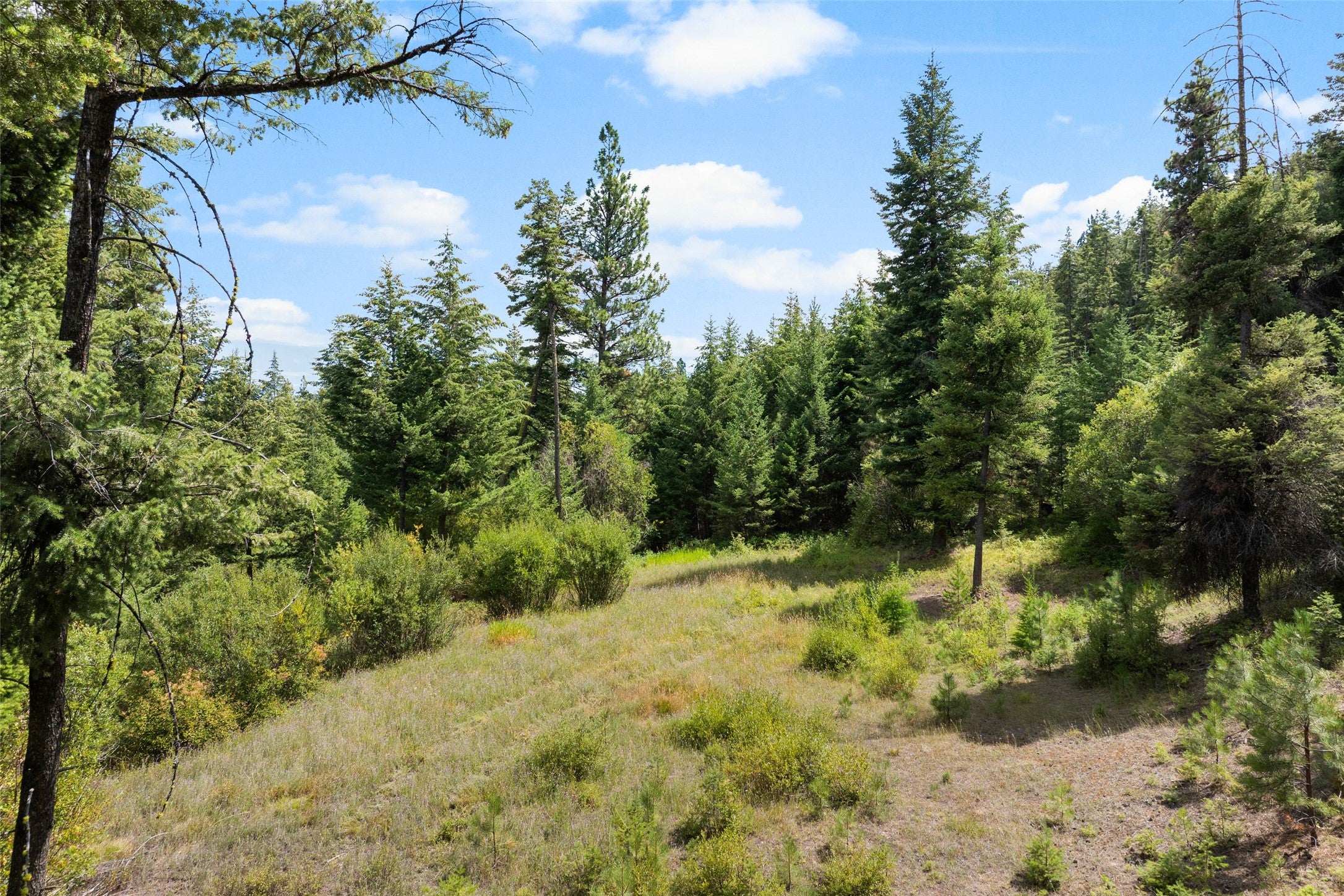 Big Views & Big Potential on 20+ Acres