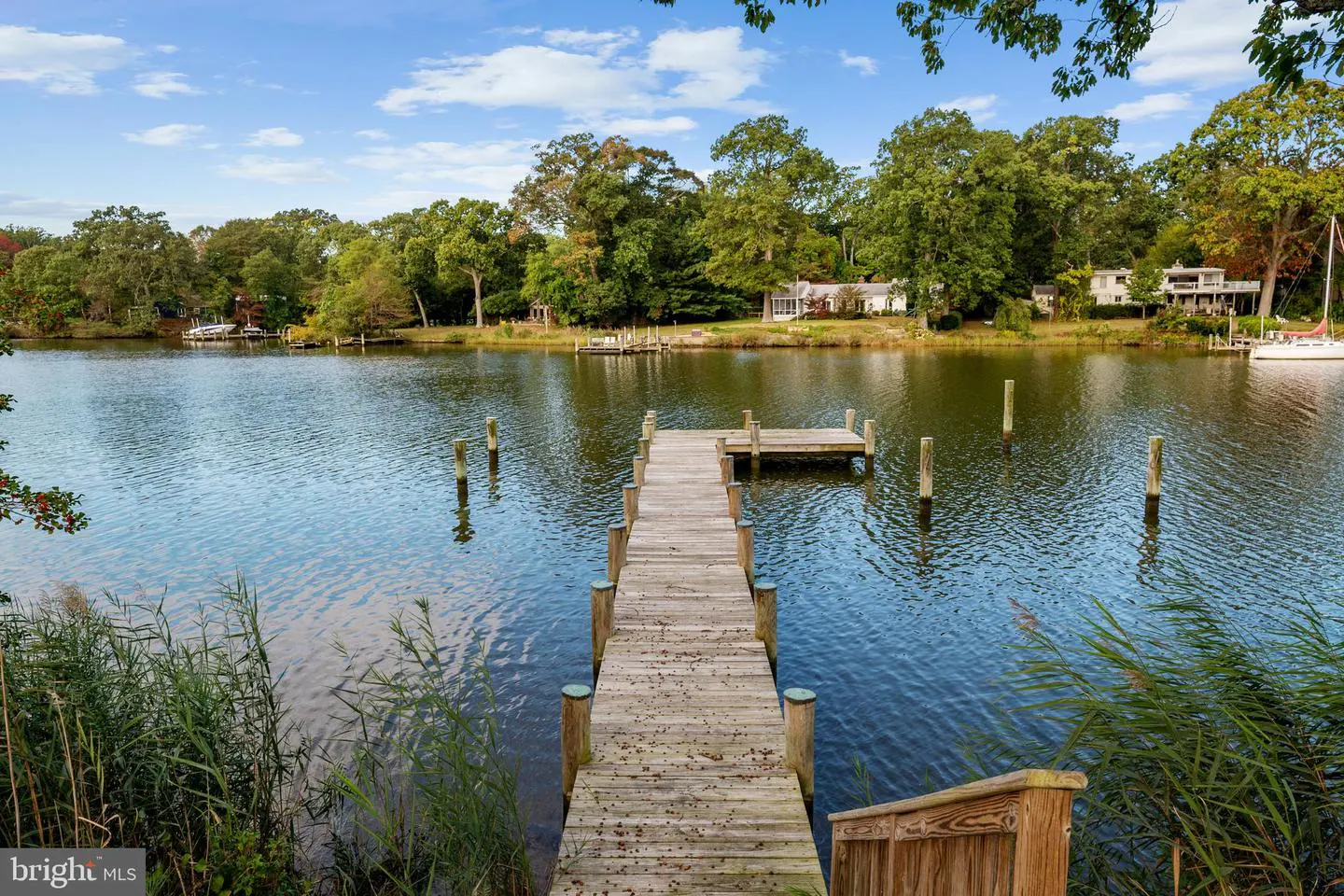 A wooden dock extends into a calm river, surrounded by green trees and houses under a blue sky.