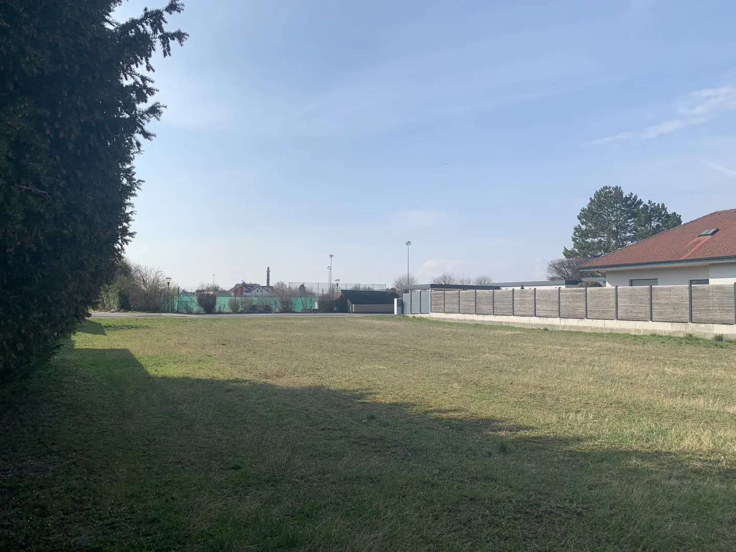 A vacant lot with green grass under a blue sky, bordered by a fence and trees.