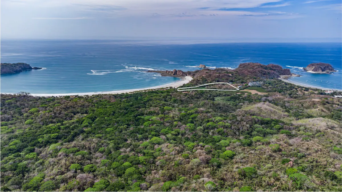 Aerial view of a beachfront property outlined in white, with lush green forest and blue ocean.