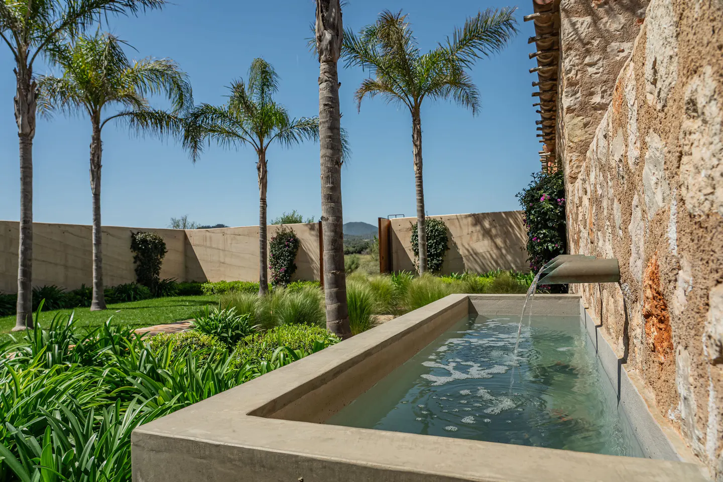 A stone water feature flows into a rectangular basin in a sunny garden with palm trees and a stone wall.