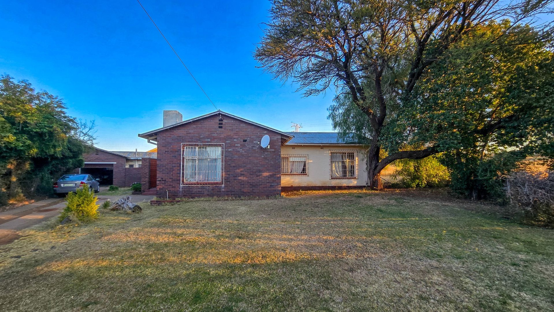 Big Stand, Established Garden, Solid Home