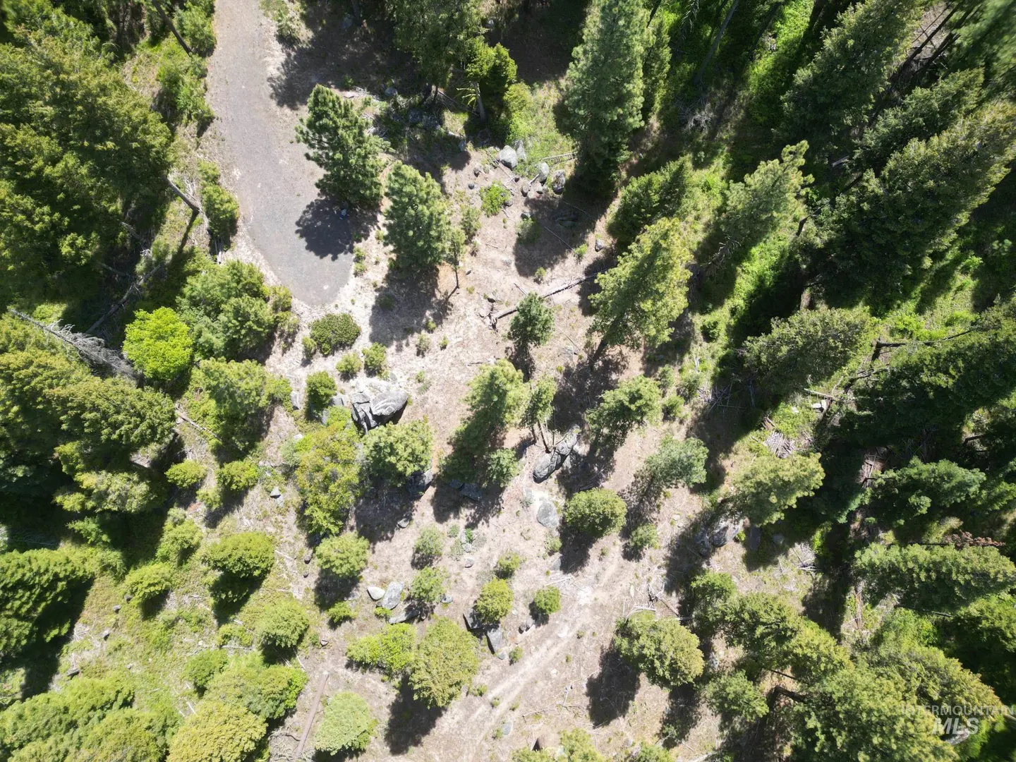 Aerial view of a wooded property with tall green trees, shrubs, rocks, and a clearing.