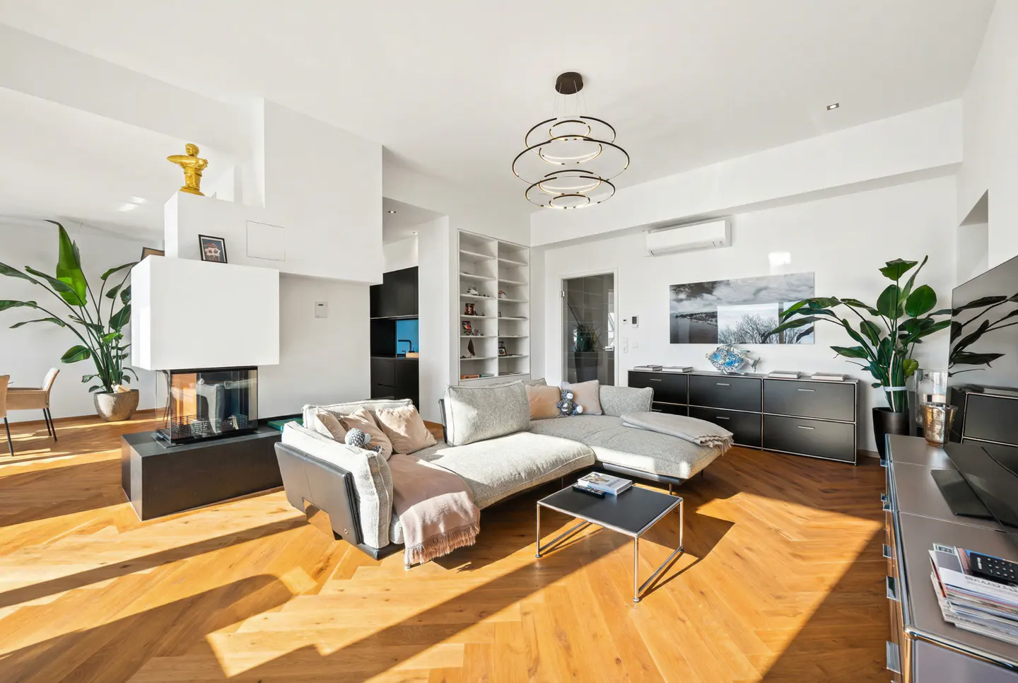 Bright living room with hardwood floors, a gray sectional sofa, a modern fireplace, and large potted plants.
