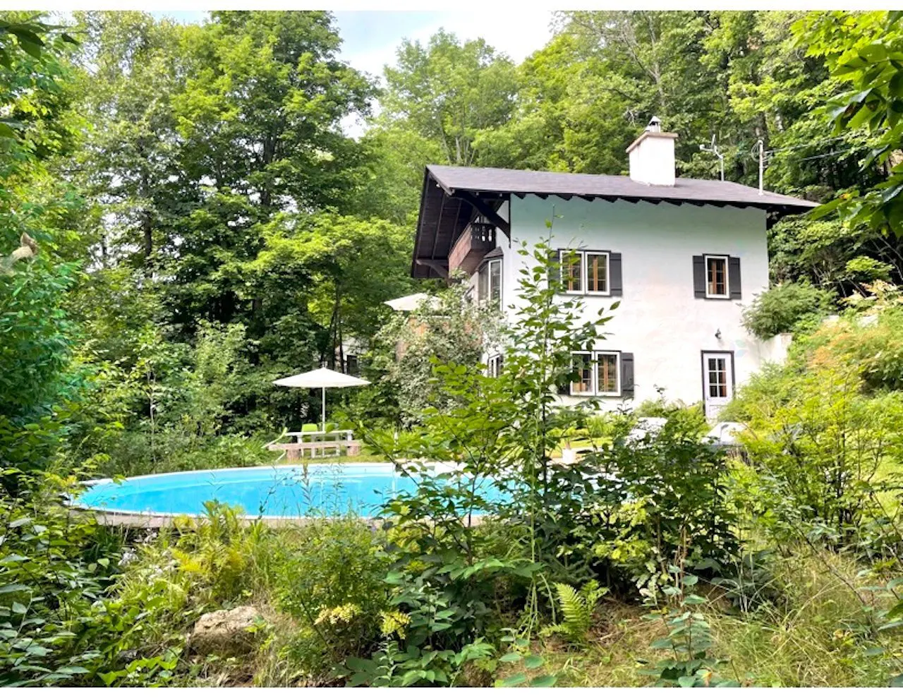 A white house with black shutters sits among lush green trees, with a blue pool and white umbrella in the foreground.