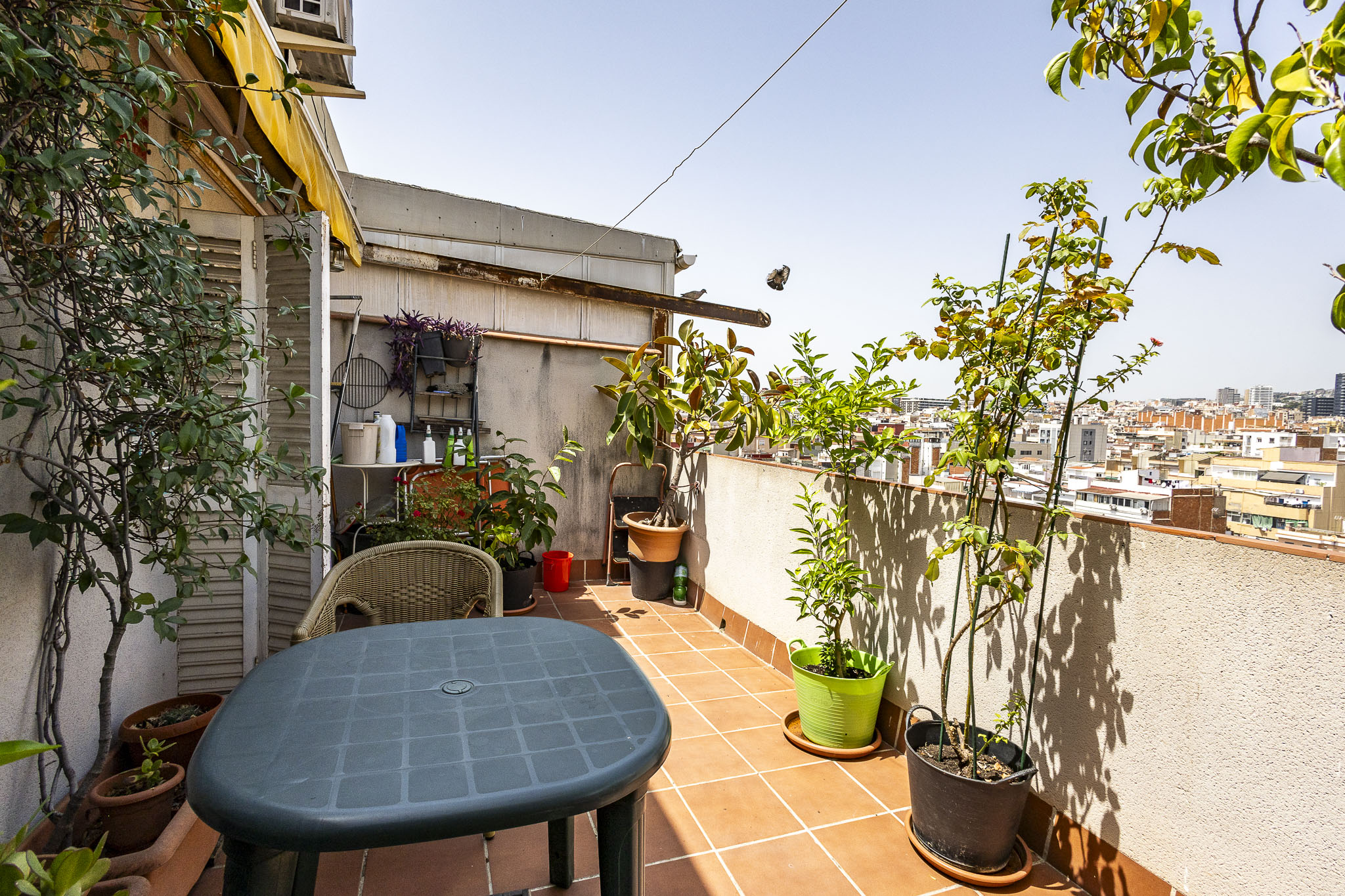 Penthouse with 15m2 private terrace in Collblanc