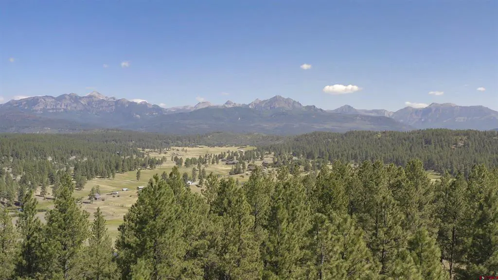 Scenic view of green pine trees, a valley with buildings, and distant mountains under a blue sky.