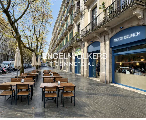 Outdoor cafe with wooden tables and chairs on a city street. "Mood Brunch" sign above a blue-framed window. Trees line the street.
