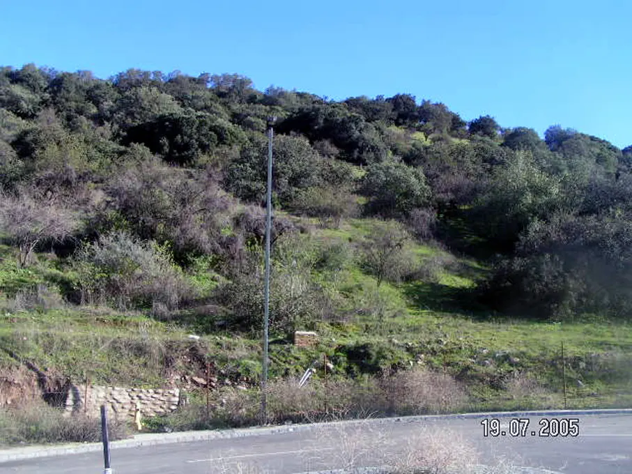 Hilly landscape with green trees and grass under a clear blue sky. A road is visible in the foreground.