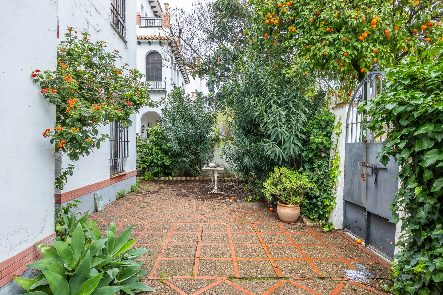 A courtyard with a brick-patterned ground, lush greenery, and a white building in the background. An orange tree is visible.