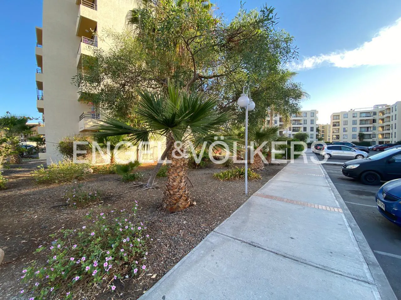Exterior view of a beige apartment building with palm trees, flowers, and a parking lot with cars under a blue sky.