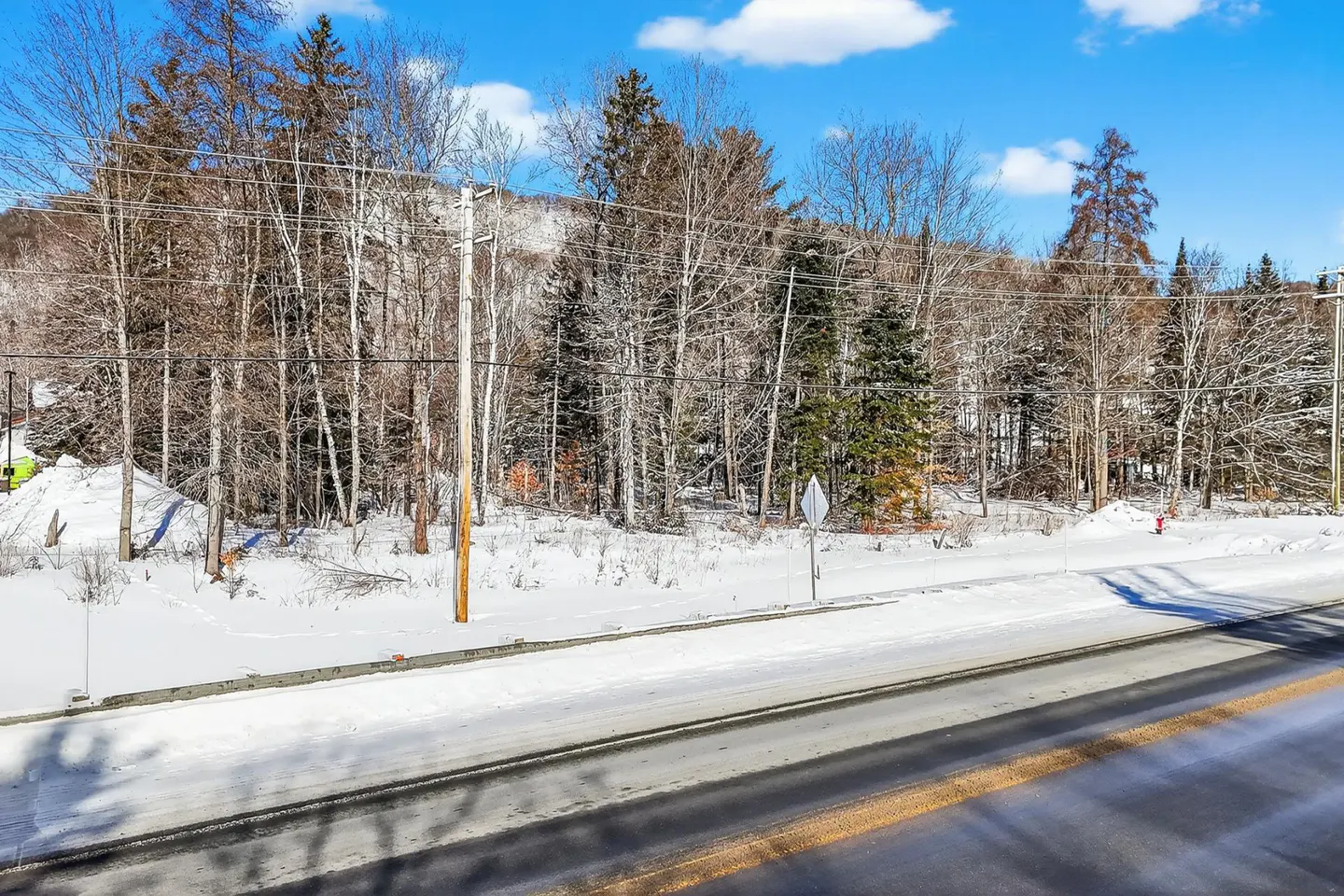 A winter scene with snow-covered ground, bare trees, and a road. Blue sky with clouds above.