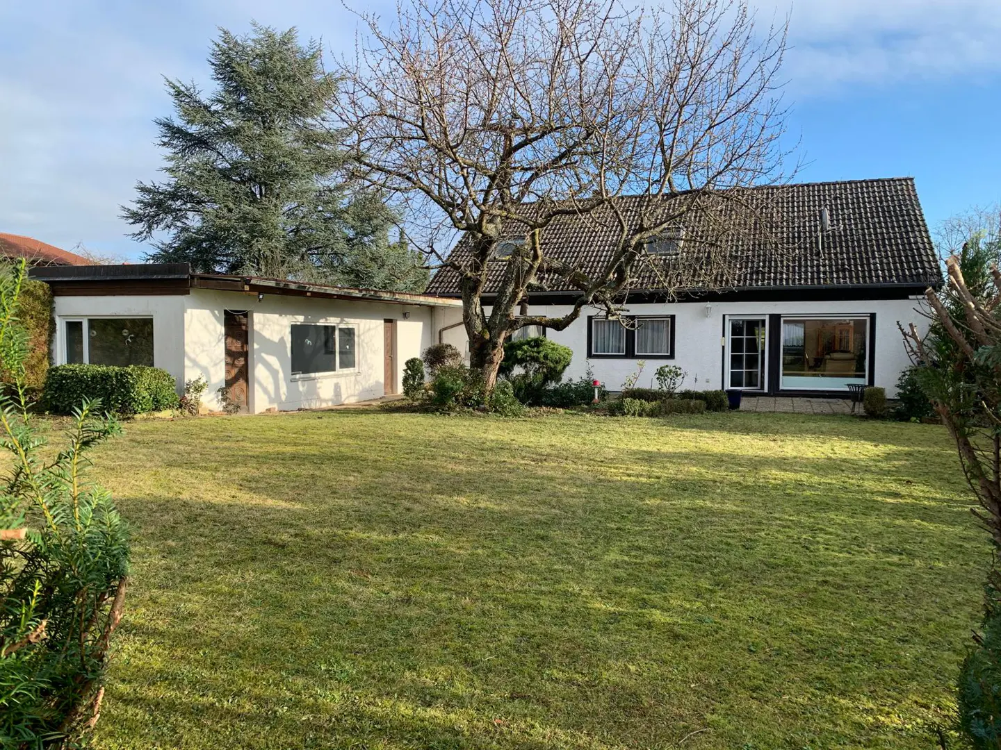 A white house with a brown roof and a large green lawn. A bare tree stands in front of the house.