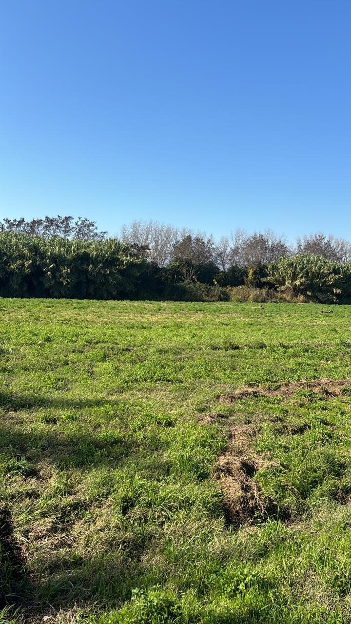 ¡Oportunidad! Loteo en Paine desde UF 3.900