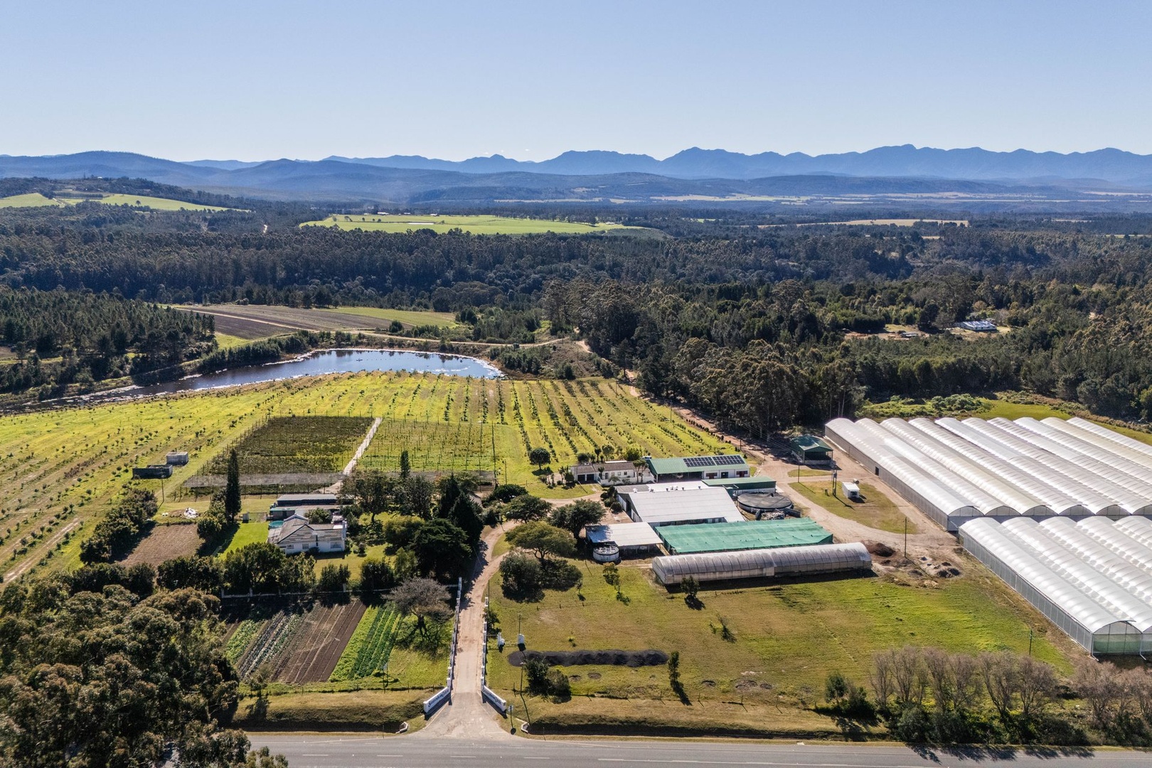 79.8ha Commercial Farm for Sale in Plettenberg Bay - Greenhouses, Macadamias, Water Rights & Solar Infrastructure