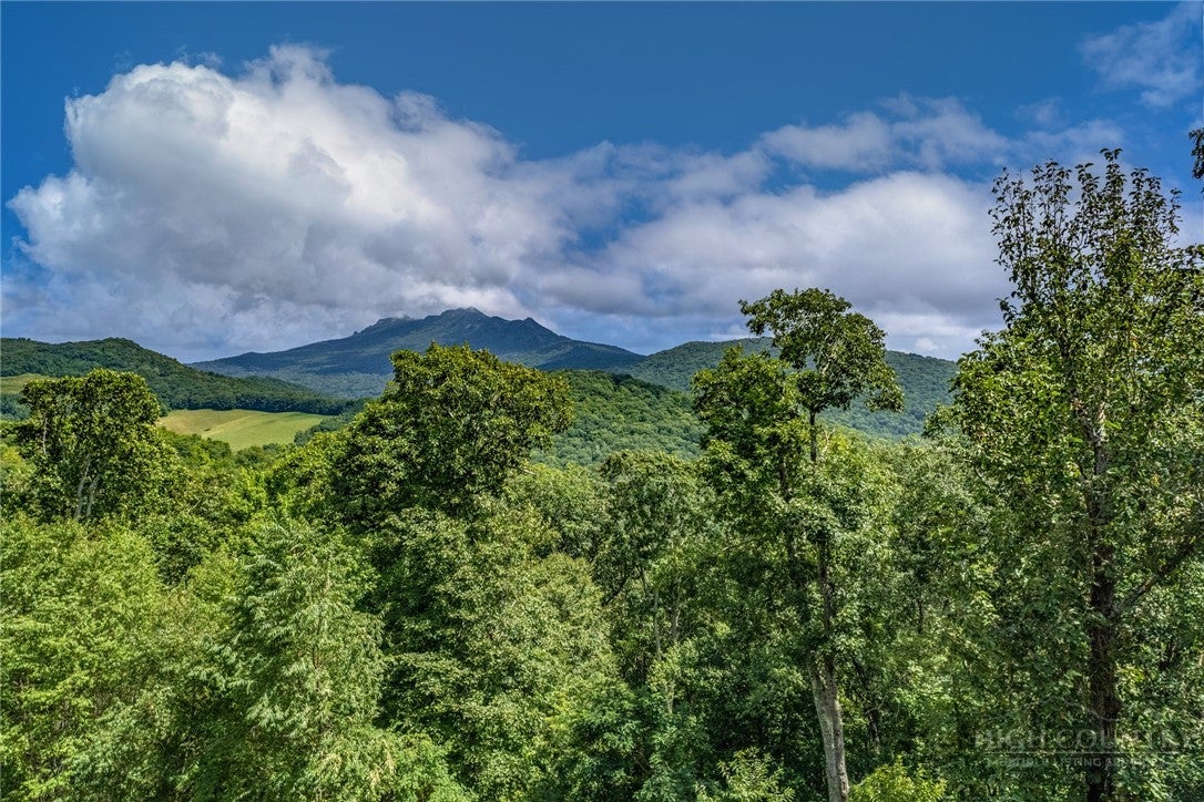 Unobstructed Grandfather Mountain Vistas Await